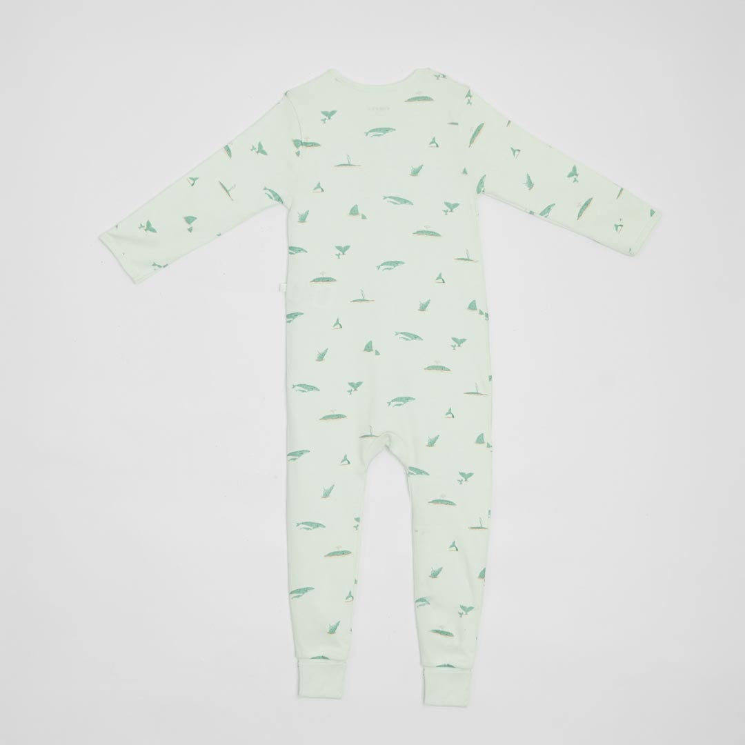 Zippy Combo Bundle (3Months)