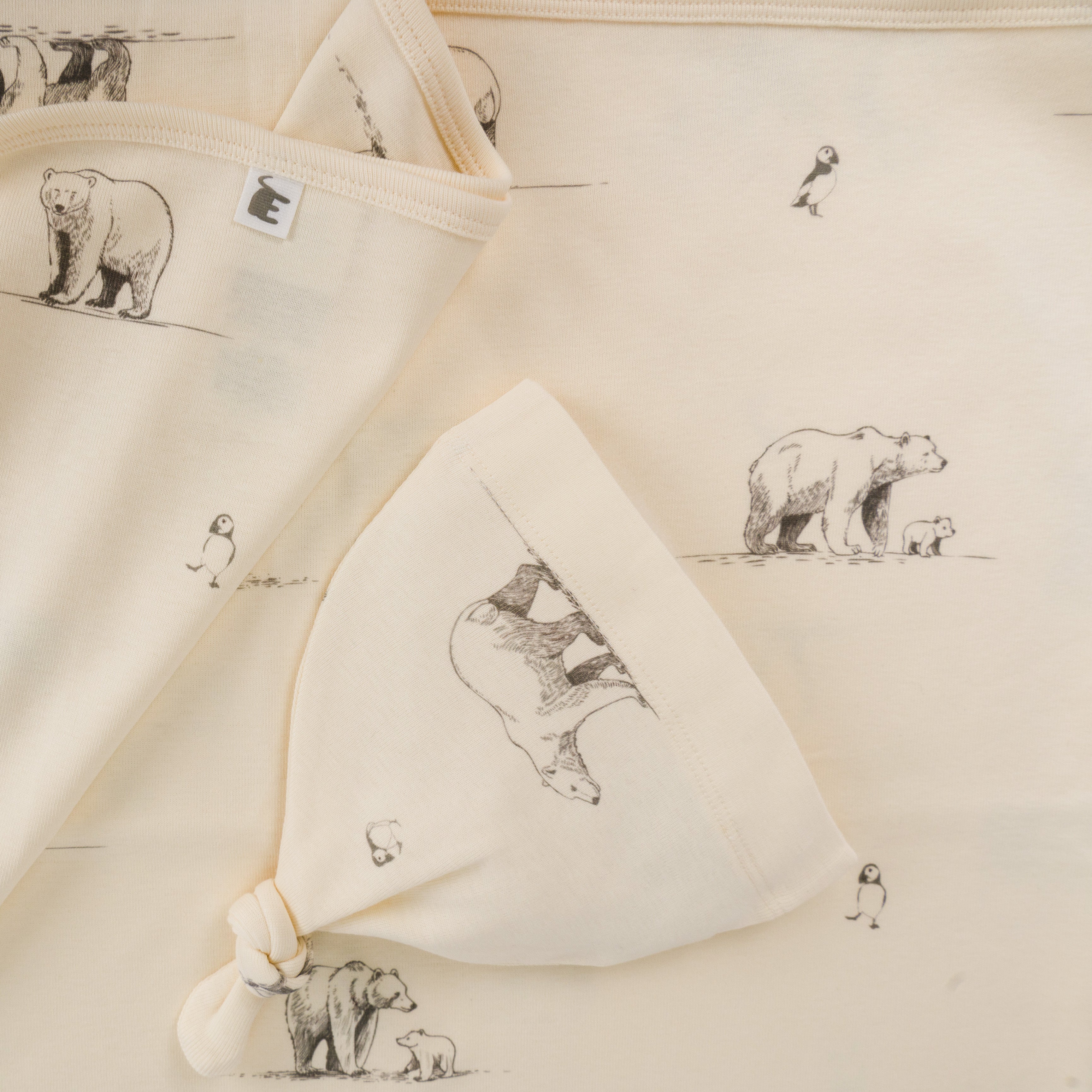 Polar Bear Blanket and Beanie set