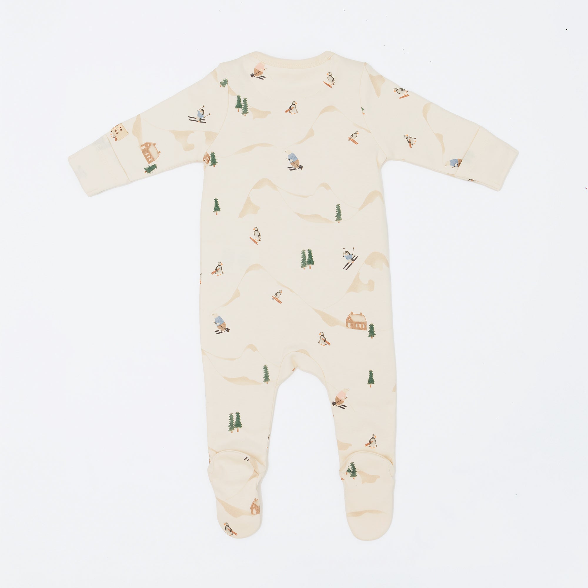 Skiing Play & grow Zippy