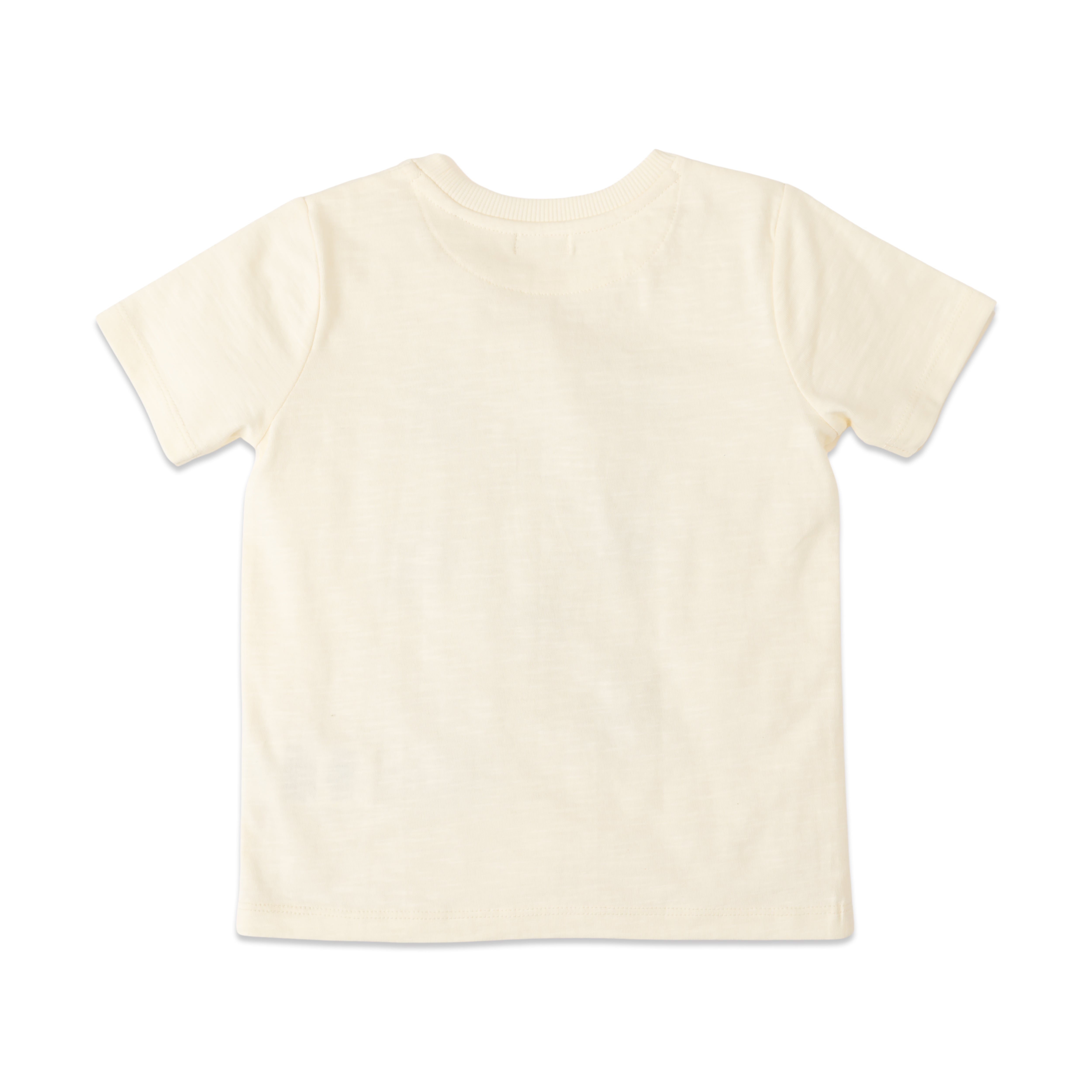 Bird Hiking Tee