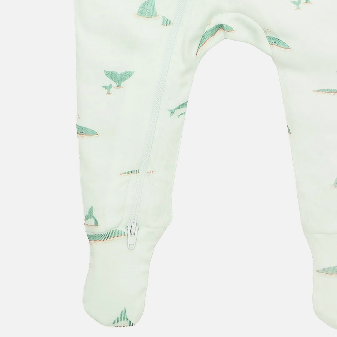 Whale Play and Grow Zippy