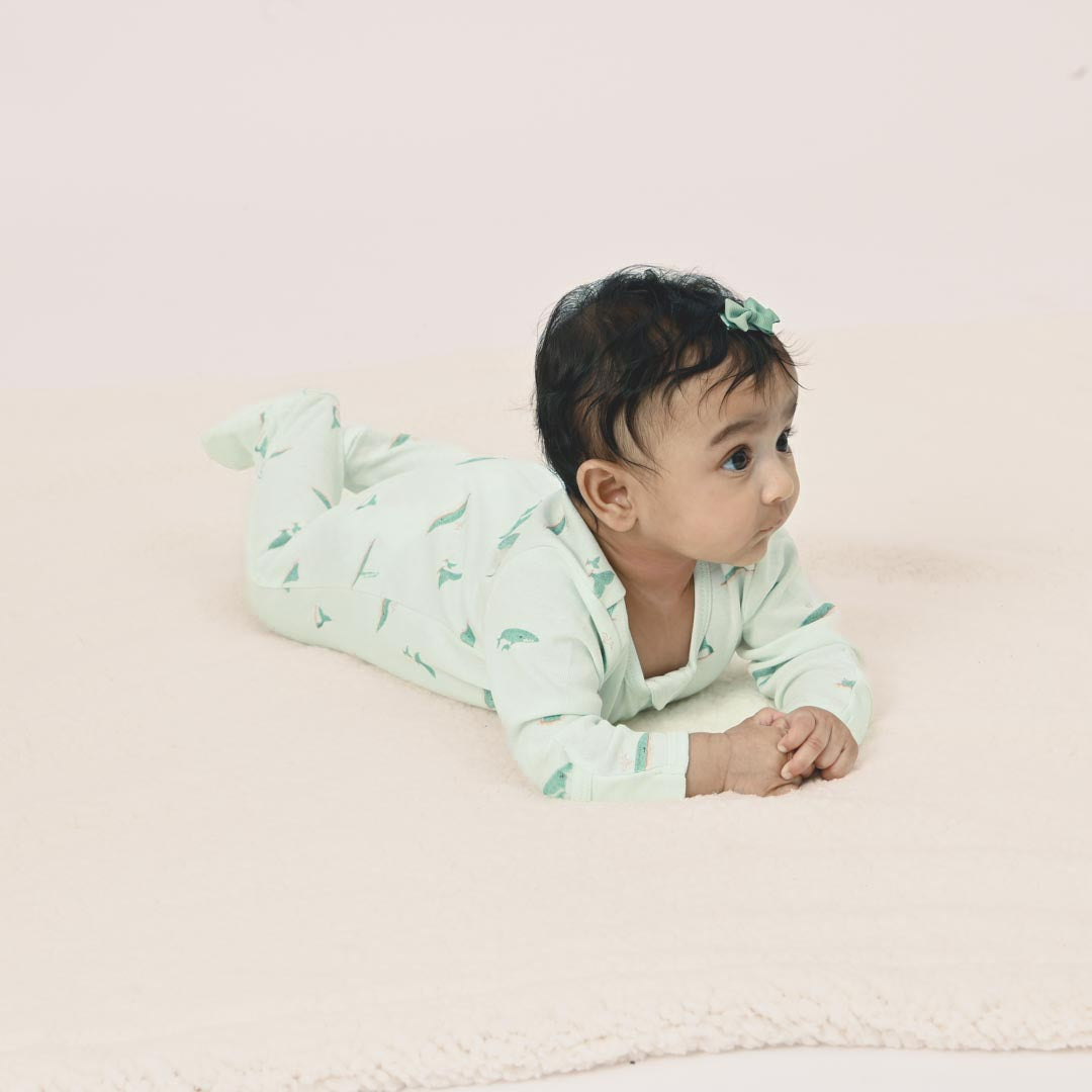 Whale Play and Grow Zippy