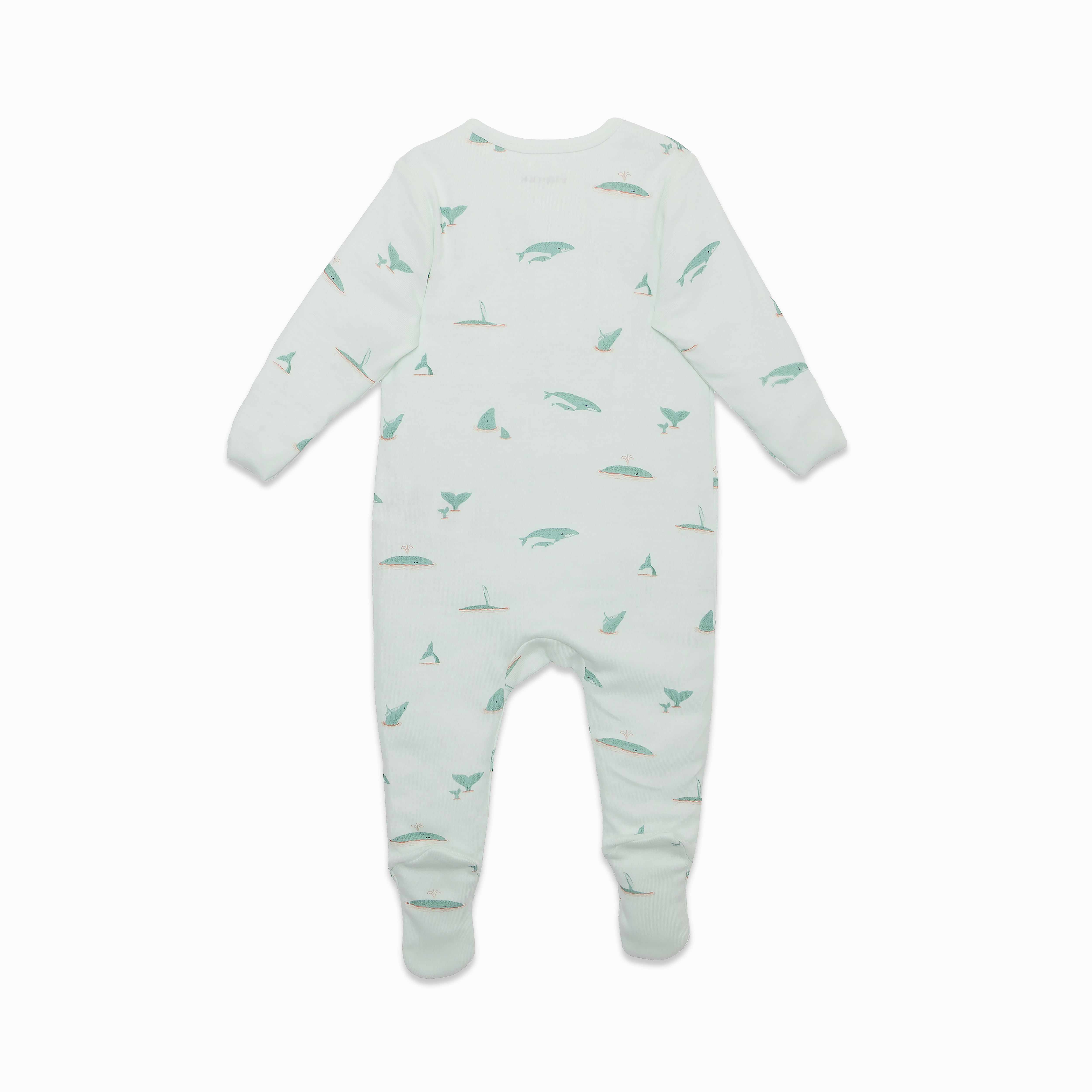 Whale Play and Grow Zippy