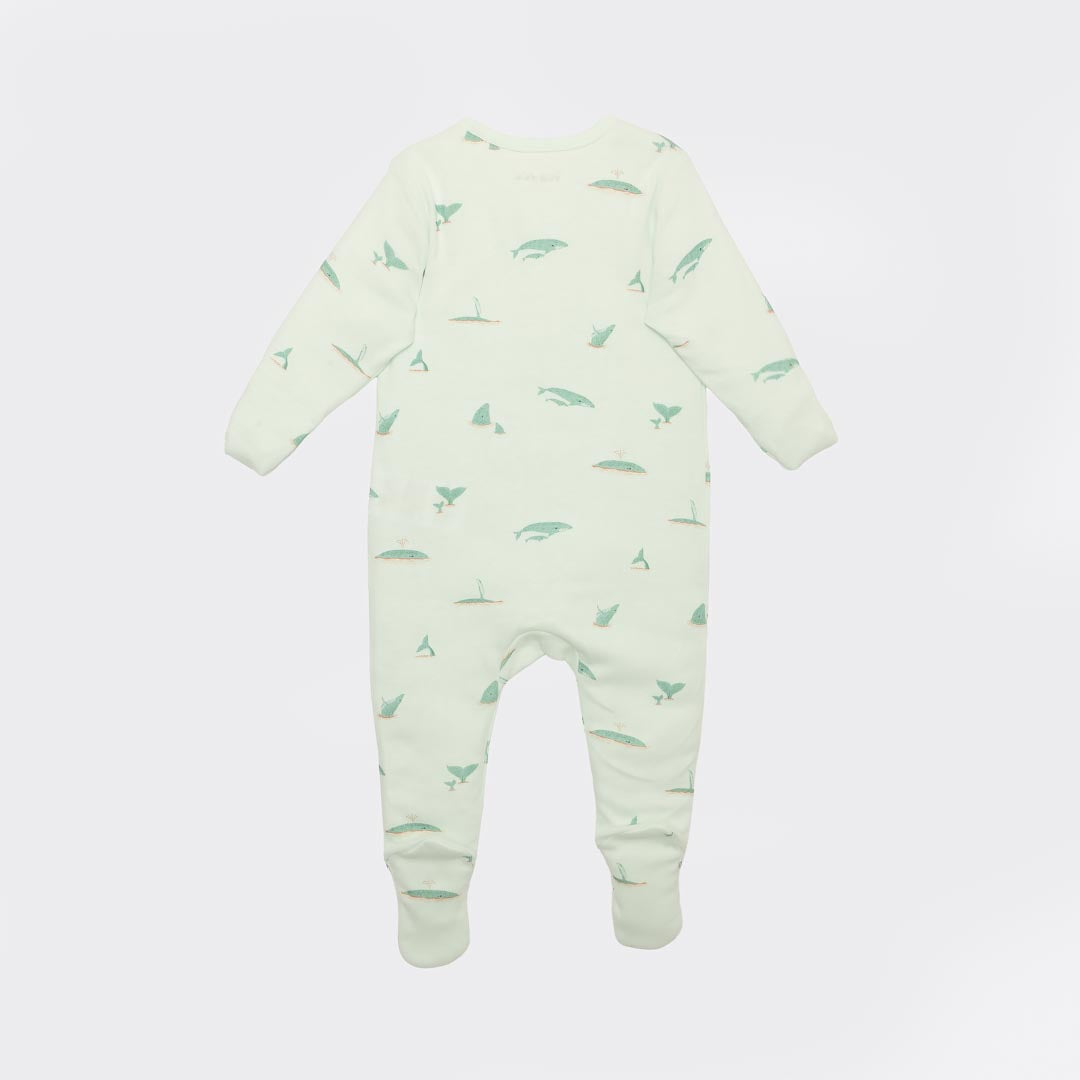 Whale Play and Grow Zippy